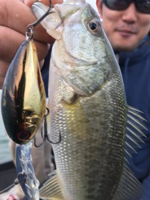 hideup 永野総一朗 ブログ写真 2017/11/07