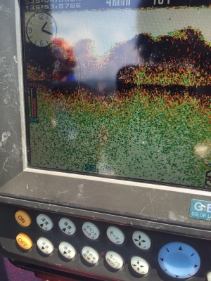 hideup 永野総一朗 ブログ写真 2015/08/09