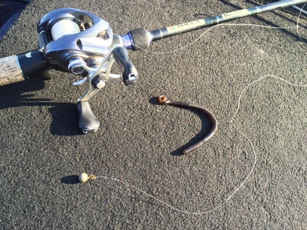 hideup 豌ｸ驥守ｷ丈ｸ譛� 繝悶Ο繧ｰ蜀咏悄 2016/09/07