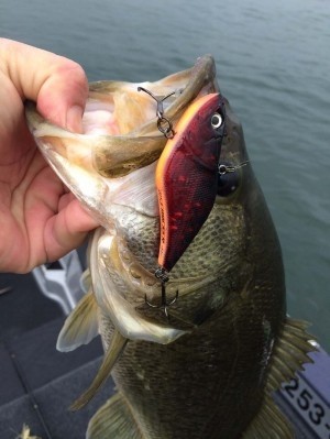 hideup 永野総一朗 ブログ写真 2014/03/20