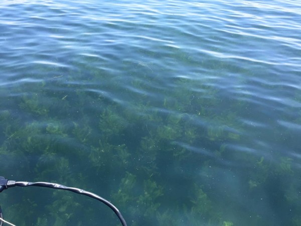 hideup 永野総一朗 ブログ写真 2016/07/22