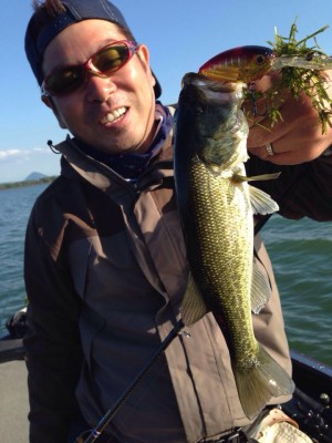 hideup 豌ｸ驥守ｷ丈ｸ譛� 繝悶Ο繧ｰ蜀咏悄 2014/10/09