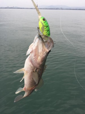 hideup 永野総一朗 ブログ写真 2015/09/13