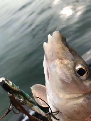 hideup 永野総一朗 ブログ写真 2017/12/01