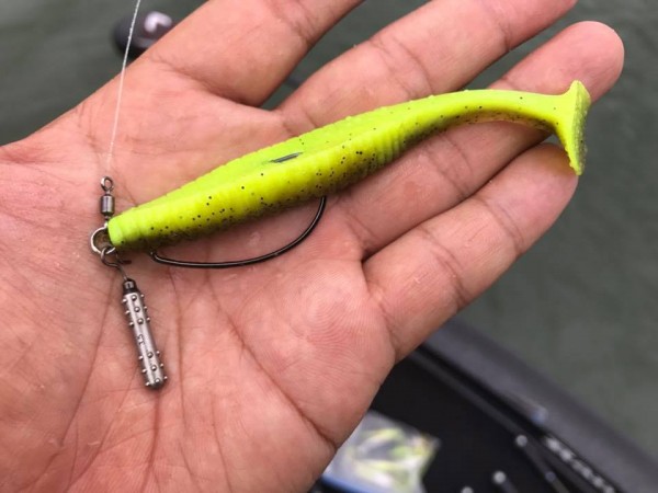 hideup 豌ｸ驥守ｷ丈ｸ譛� 繝悶Ο繧ｰ蜀咏悄 2017/09/13