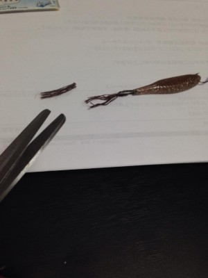 hideup 永野総一朗 ブログ写真 2014/09/14