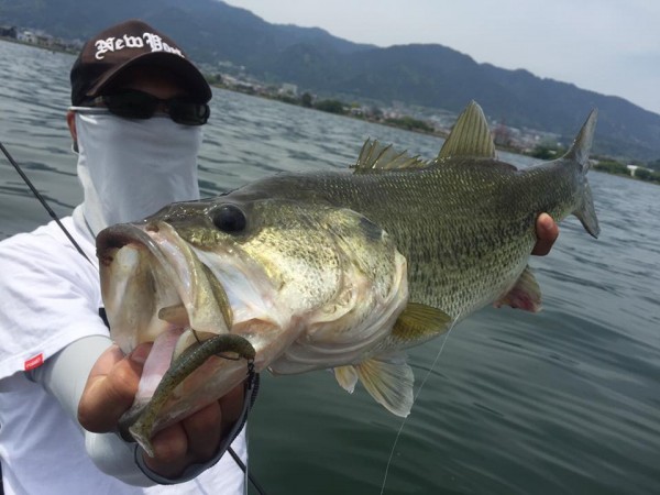 hideup 永野総一朗 ブログ写真 2017/05/22