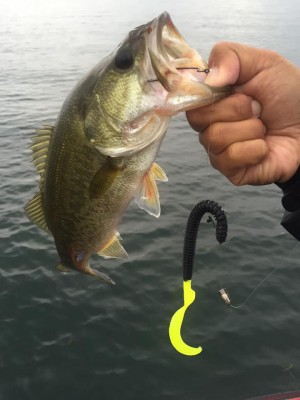 hideup 永野総一朗 ブログ写真 2015/09/24