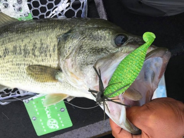 hideup 永野総一朗 ブログ写真 2017/06/25