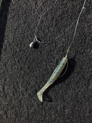 hideup 永野総一朗 ブログ写真 2017/06/05