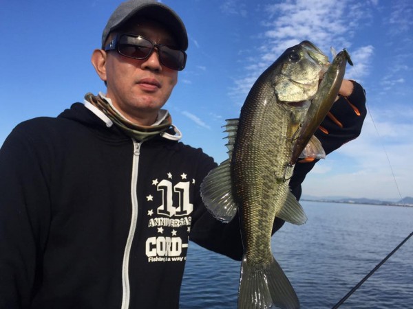 hideup 豌ｸ驥守ｷ丈ｸ譛� 繝悶Ο繧ｰ蜀咏悄 2016/10/14