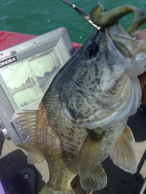 hideup 永野総一朗 ブログ写真 2015/04/18