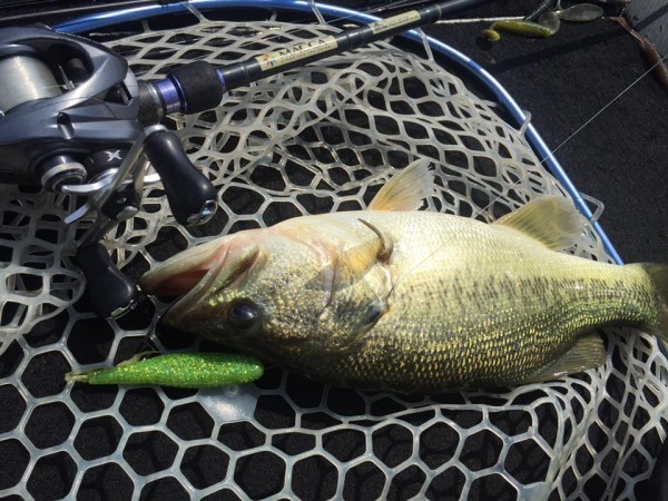 hideup 永野総一朗 ブログ写真 2017/05/11