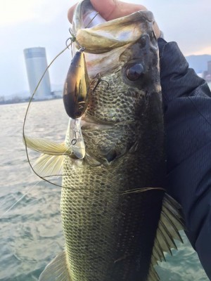 hideup 永野総一朗 ブログ写真 2016/02/27