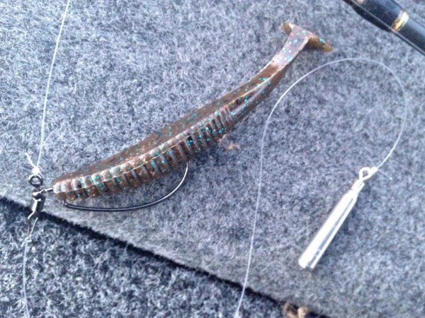 hideup 永野総一朗 ブログ写真 2015/03/08