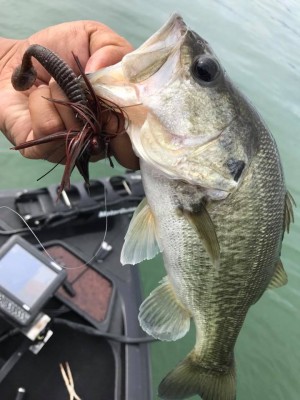 hideup 永野総一朗 ブログ写真 2017/10/09