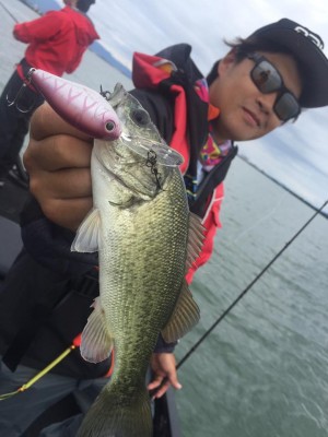 hideup 豌ｸ驥守ｷ丈ｸ譛� 繝悶Ο繧ｰ蜀咏悄 2016/09/23