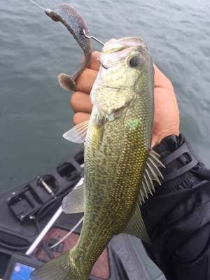 hideup 永野総一朗 ブログ写真 2016/09/28