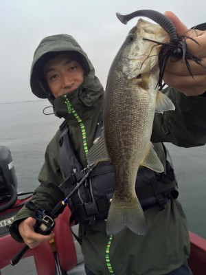 hideup 永野総一朗 ブログ写真 2015/11/18