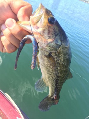 hideup 永野総一朗 ブログ写真 2015/07/14