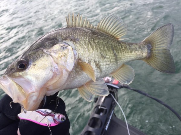 hideup 永野総一朗 ブログ写真 2017/01/14