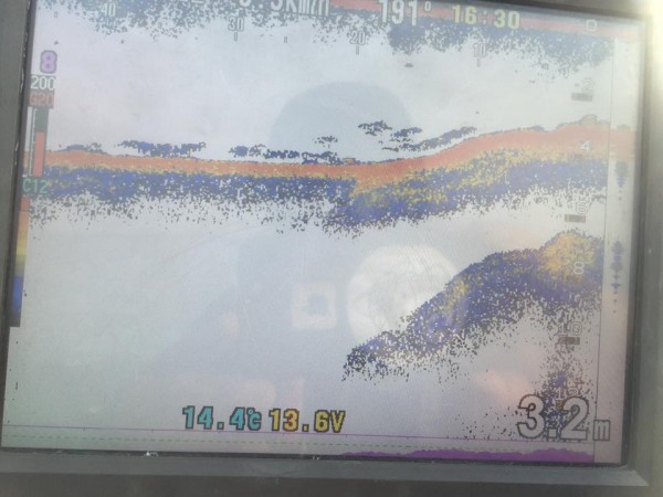 hideup 永野総一朗 ブログ写真 2017/05/04