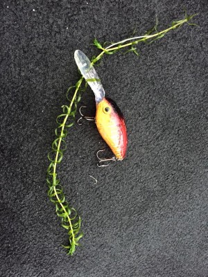 hideup 永野総一朗 ブログ写真 2016/04/14