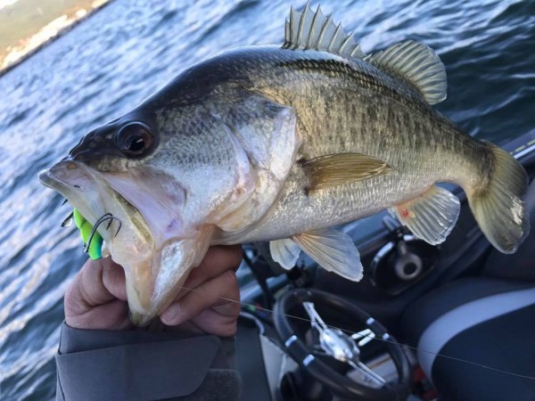 hideup 永野総一朗 ブログ写真 2017/11/20