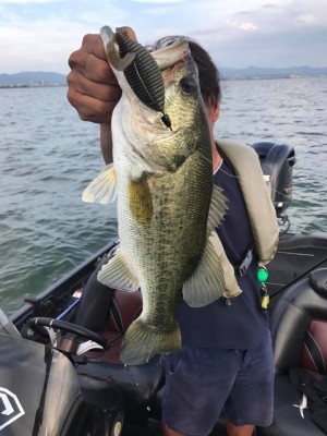 hideup 永野総一朗 ブログ写真 2017/07/06