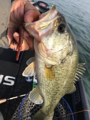 hideup 永野総一朗 ブログ写真 2017/11/27