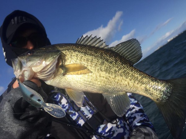 hideup 永野総一朗 ブログ写真 2016/12/24