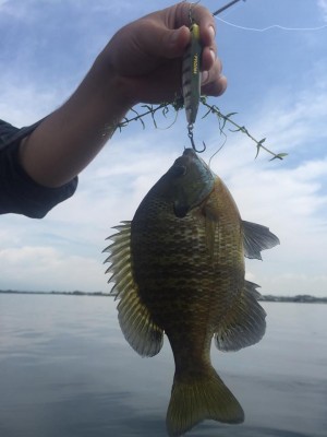 hideup 永野総一朗 ブログ写真 2015/07/02