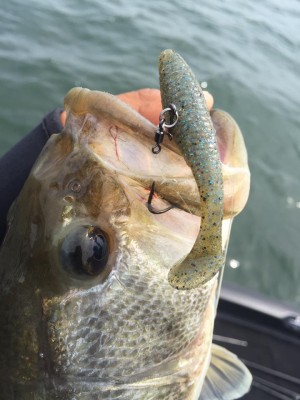 hideup 永野総一朗 ブログ写真 2017/05/04