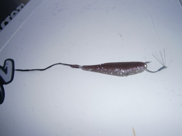 hideup 永野総一朗 ブログ写真 2013/01/17