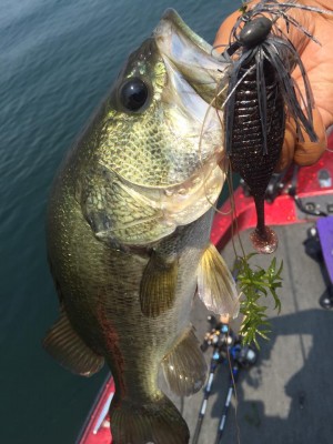 hideup 永野総一朗 ブログ写真 2015/08/04