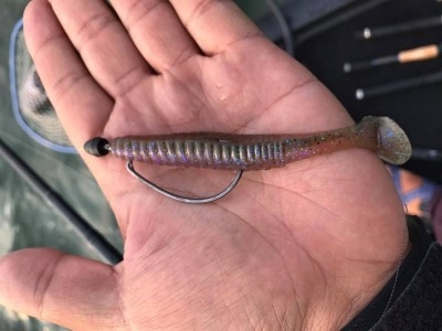 hideup 永野総一朗 ブログ写真 2017/06/11