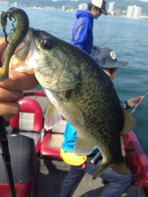 hideup 永野総一朗 ブログ写真 2015/05/03