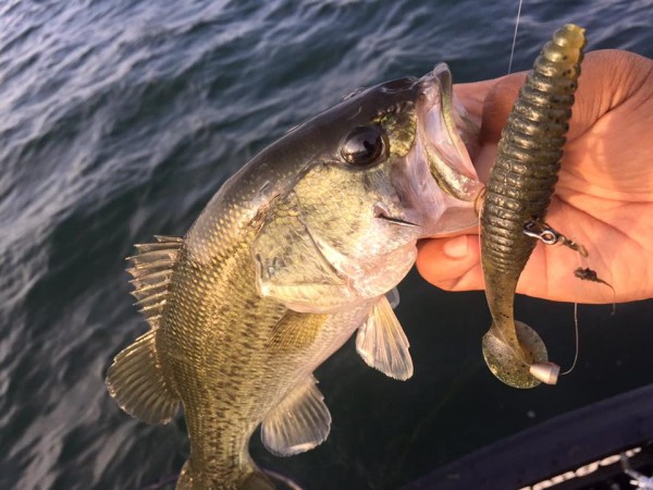 hideup 永野総一朗 ブログ写真 2016/08/12