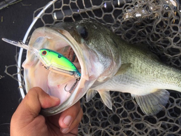 hideup 永野総一朗 ブログ写真 2016/09/25