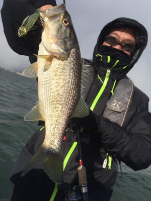 hideup 永野総一朗 ブログ写真 2017/01/14