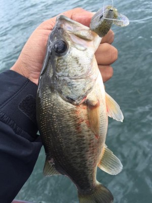 hideup 永野総一朗 ブログ写真 2015/11/03