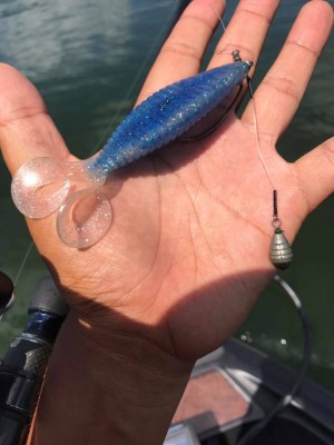 hideup 永野総一朗 ブログ写真 2017/08/19