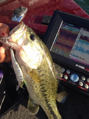 hideup 永野総一朗 ブログ写真 2015/05/26