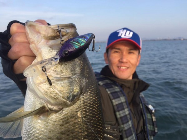 hideup 豌ｸ驥守ｷ丈ｸ譛� 繝悶Ο繧ｰ蜀咏悄 2016/11/19