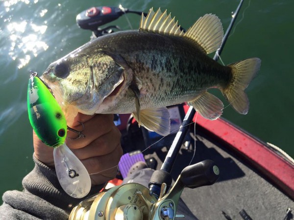 hideup 永野総一朗 ブログ写真 2015/11/16