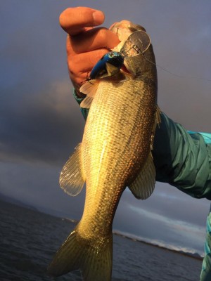 hideup 永野総一朗 ブログ写真 2016/12/11