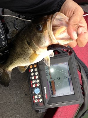 hideup 永野総一朗 ブログ写真 2013/04/11