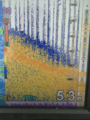 hideup 永野総一朗 ブログ写真 2015/09/01