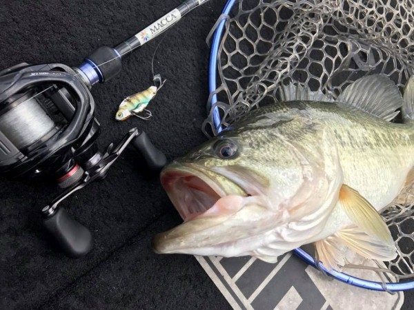 hideup 永野総一朗 ブログ写真 2017/12/12