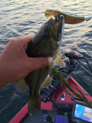 hideup 永野総一朗 ブログ写真 2015/08/09